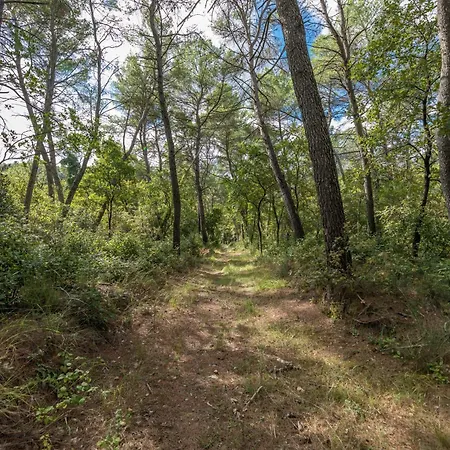 I Getsemani * Bevagna