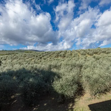 I Getsemani * Bevagna